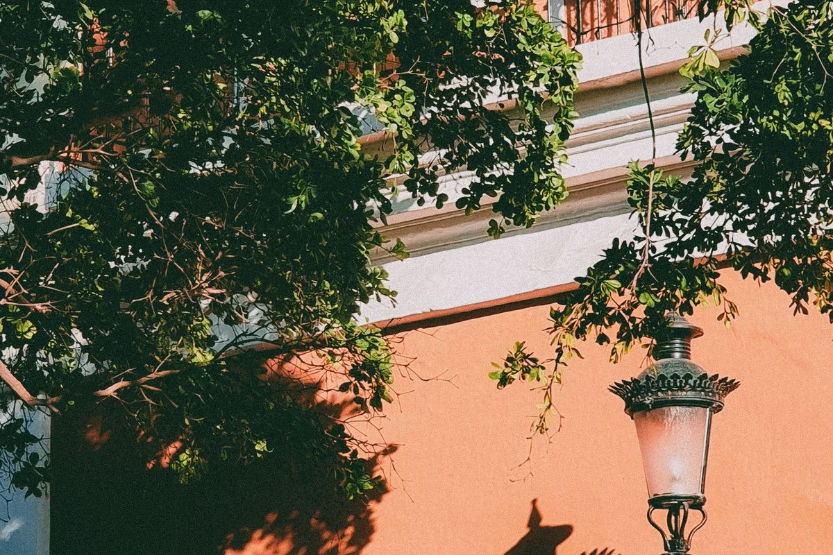 Tours & Activities in Mazatlán