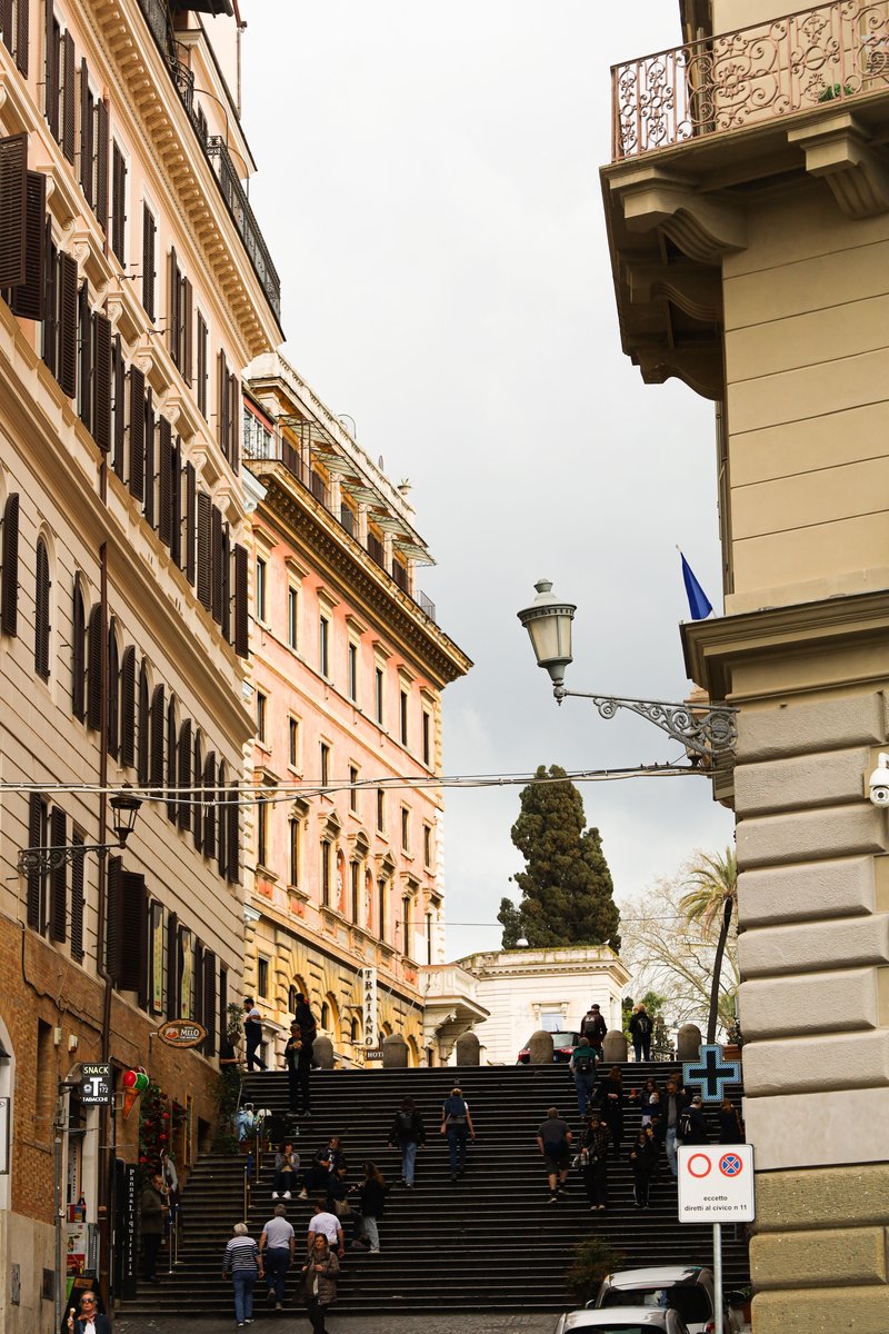 Monti