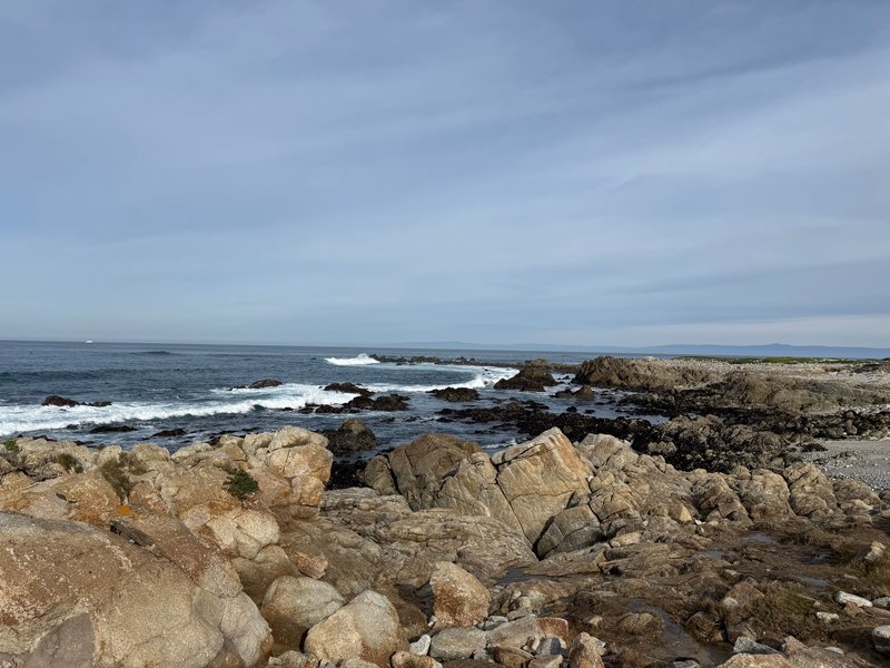 Asilomar State Beach