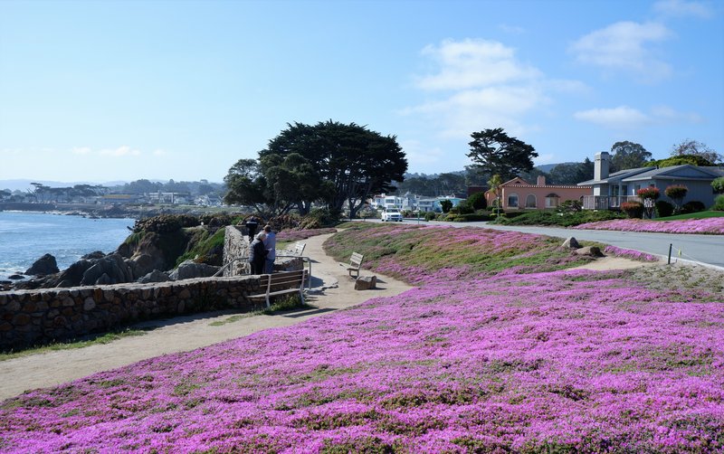 Nearby park or overlook
