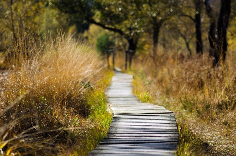 Nearby nature reserve or trail