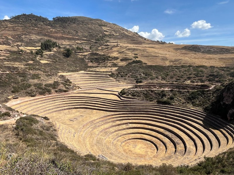 Moray