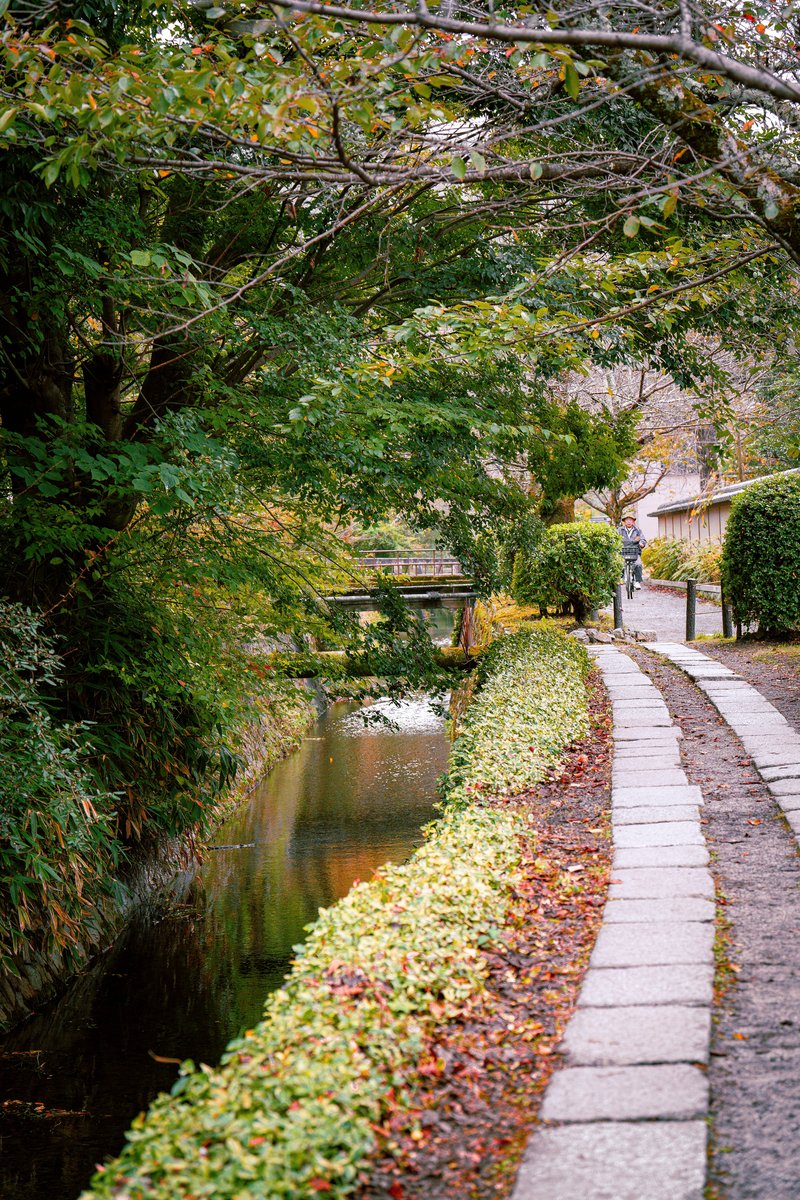 Philosopher's Path