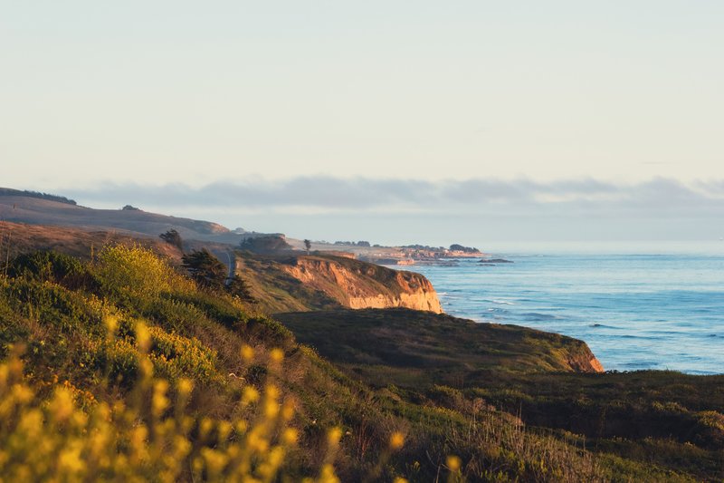 Half Moon Bay Coffee Co.