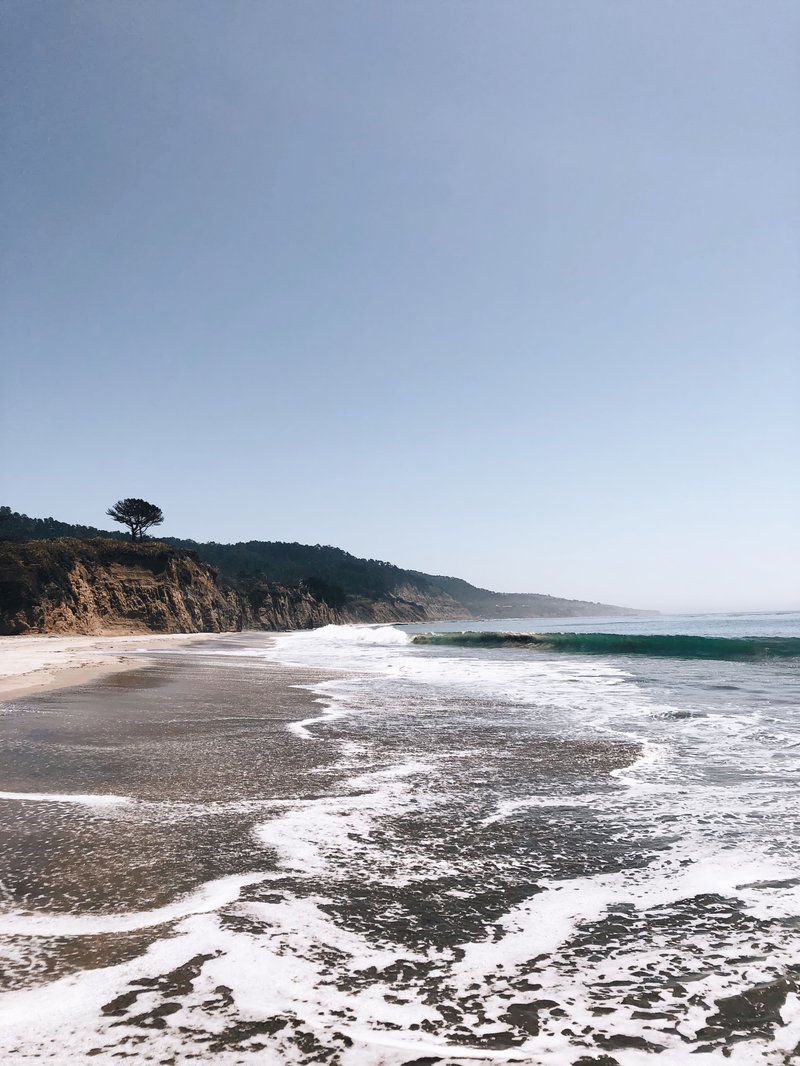 Pescadero State Beach