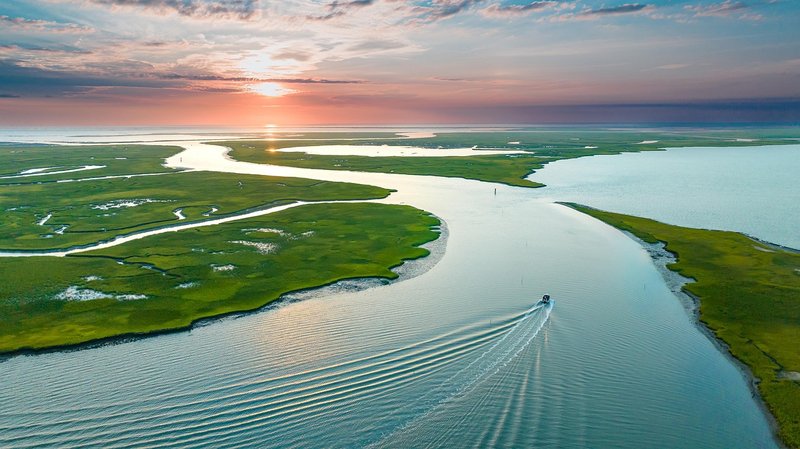 Pescadero Marsh