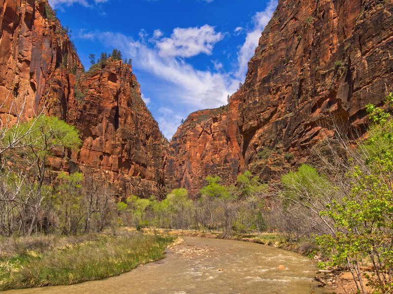 Virgin River Rafting