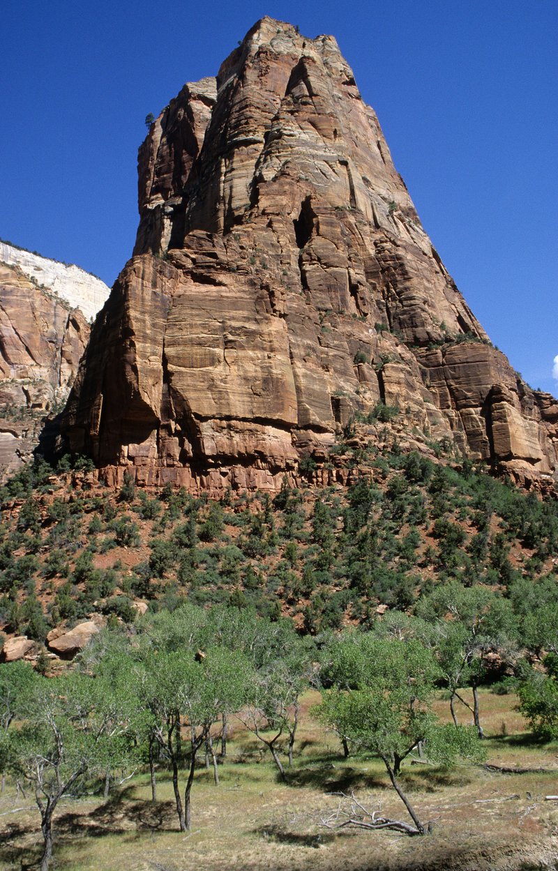 Temple of Sinawava, Zion National Park