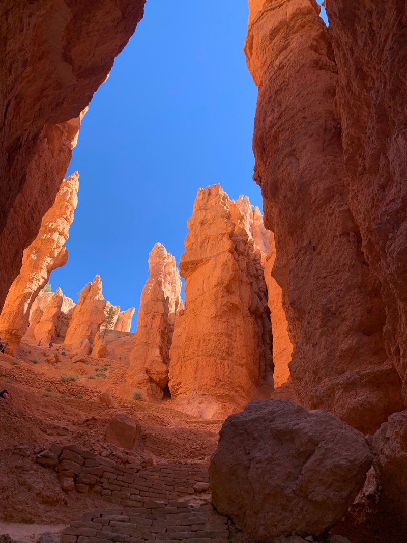 Navajo Loop Trail