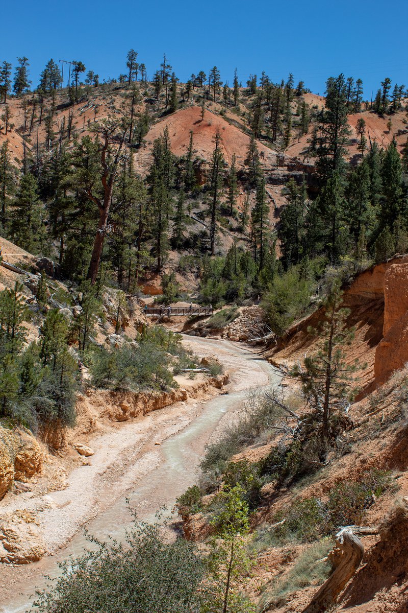 Paria Creek Trail