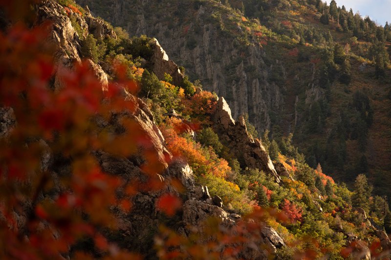 City Creek Canyon