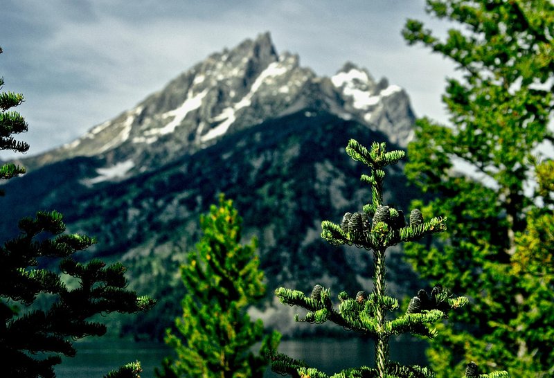 Jenny Lake
