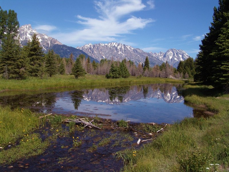 Schwabacher Landing, Grand Teton National Park