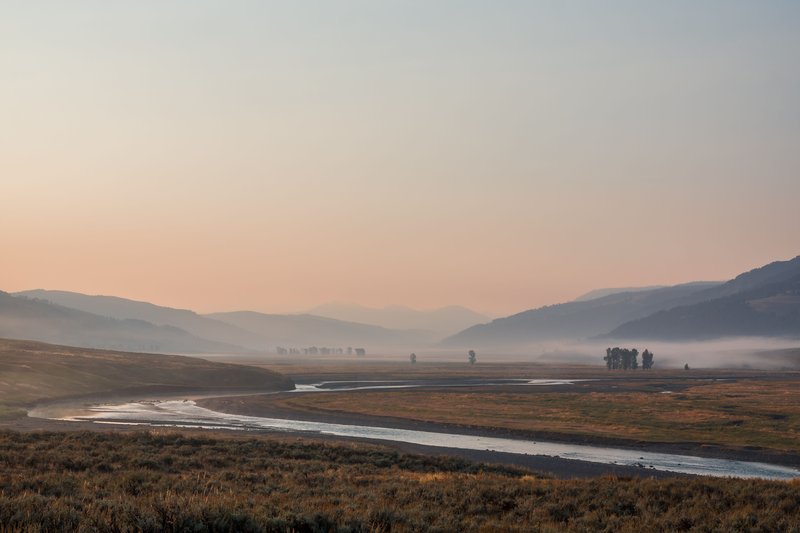 Lamar Valley