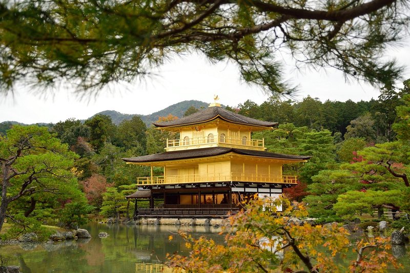 Hojo