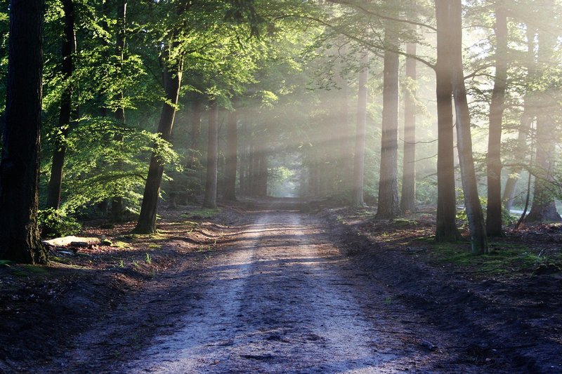Nearby nature trails