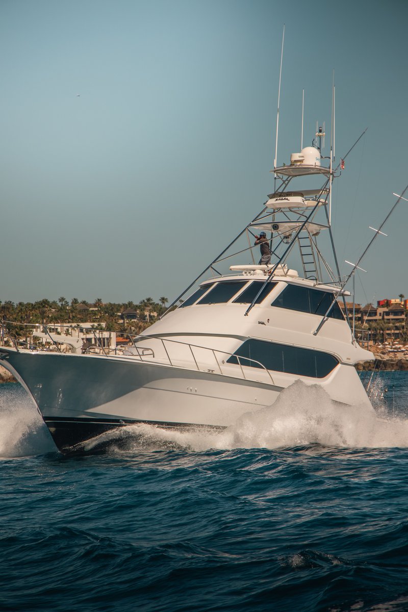 Checkmate Sportfishing