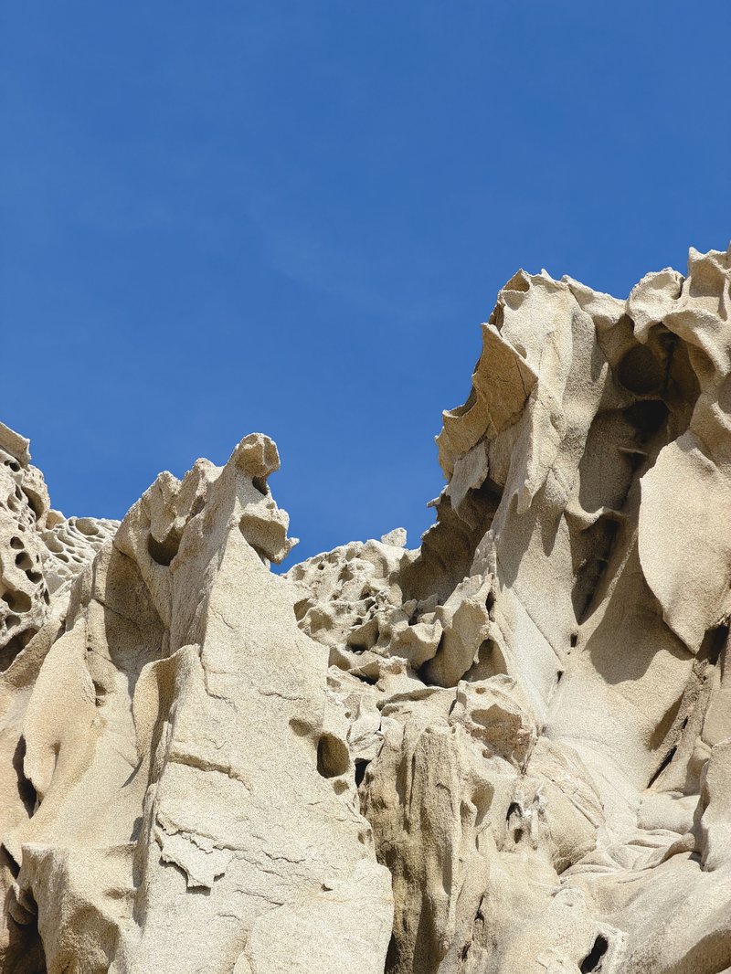 Wild Canyon