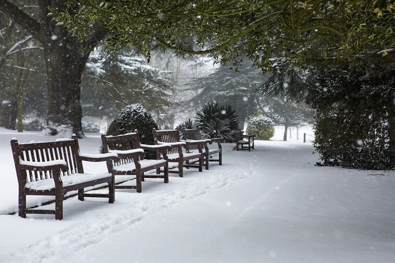 Piazza delle Erbe or a Quiet Bench