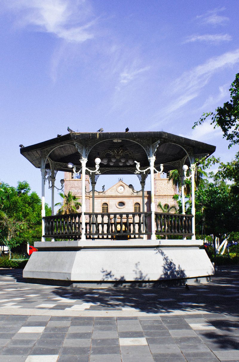 section